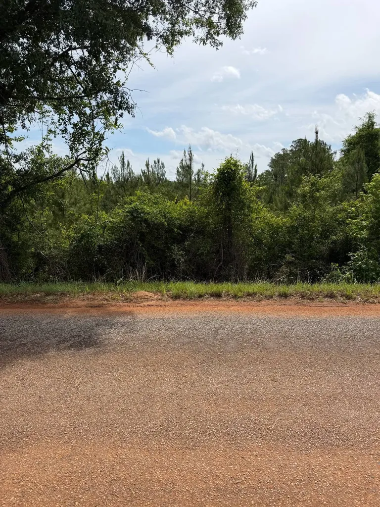 0 Live Live Oak Luverne AL 36049