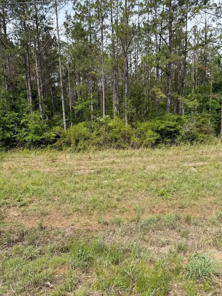 0 Live Live Oak Luverne AL 36049
