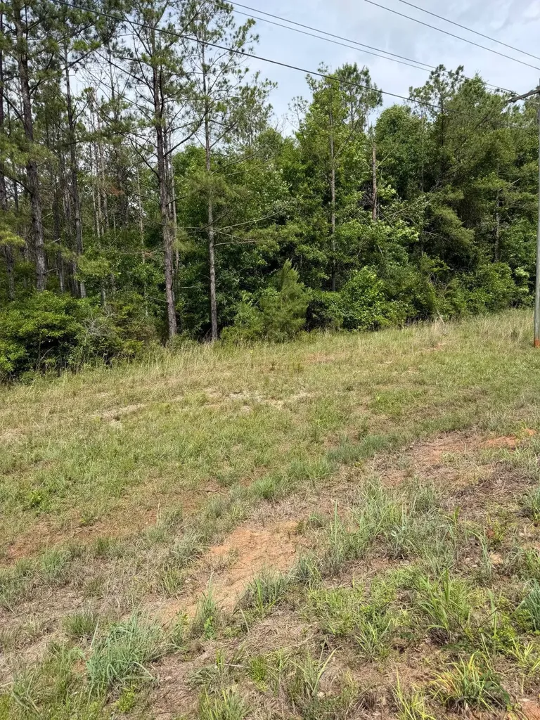 0 Live Live Oak Luverne AL 36049