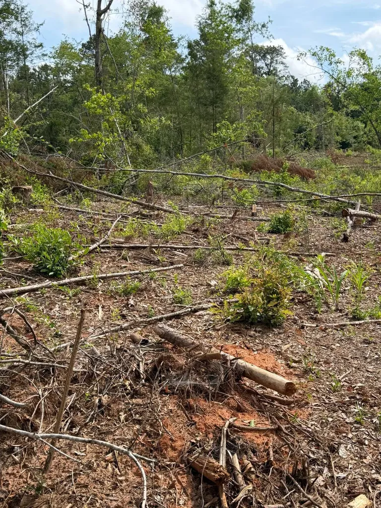 0 Live Live Oak Luverne AL 36049