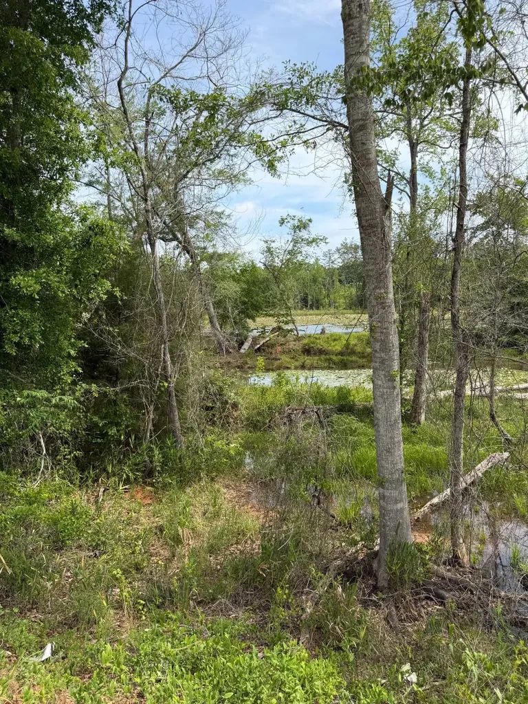 0 Live Live Oak Luverne AL 36049