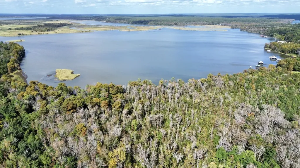 0 Bay Minette Basin Spanish Fort AL 36527