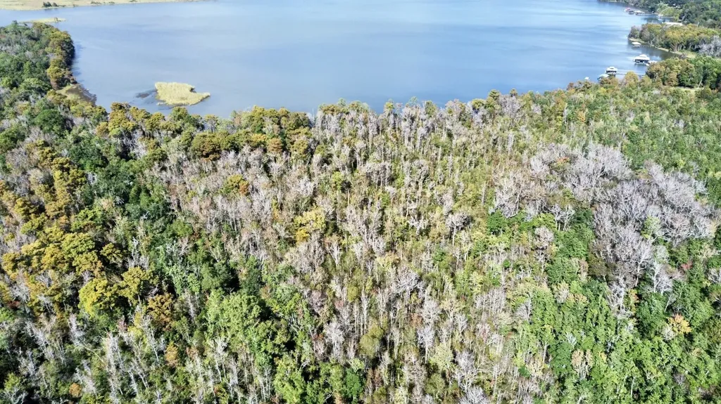 0 Bay Minette Basin Spanish Fort AL 36527