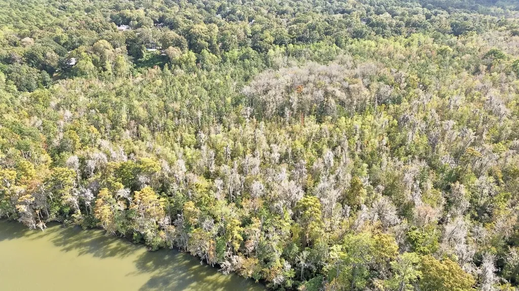 0 Bay Minette Basin Spanish Fort AL 36527