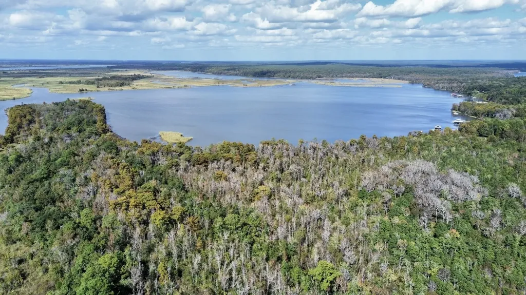 0 Bay Minette Basin Spanish Fort AL 36527