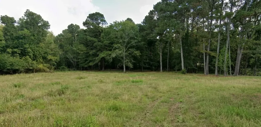 7307 Lowetown Road Mccalla AL 35111