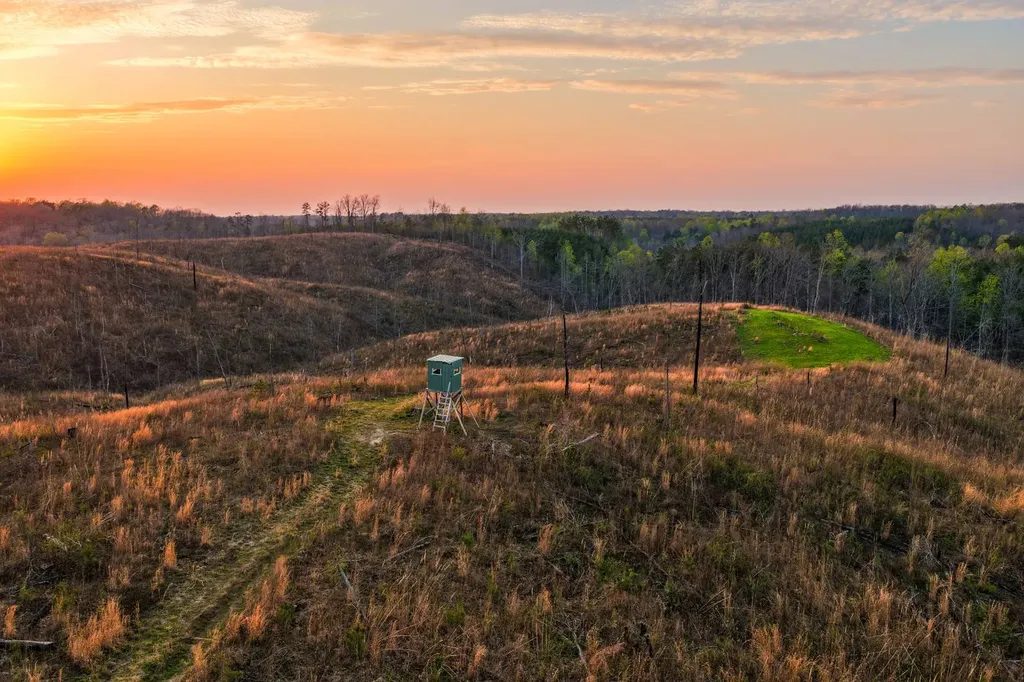 0 County Road 45 Waterloo AL 35677