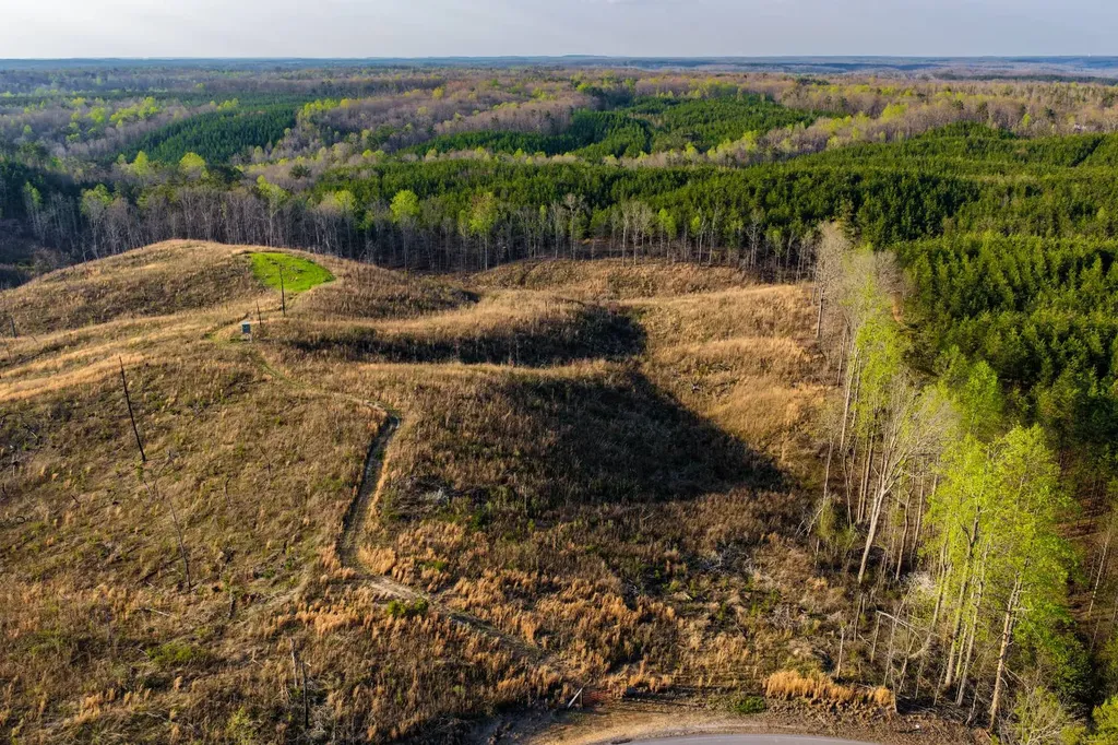 0 County Road 45 Waterloo AL 35677