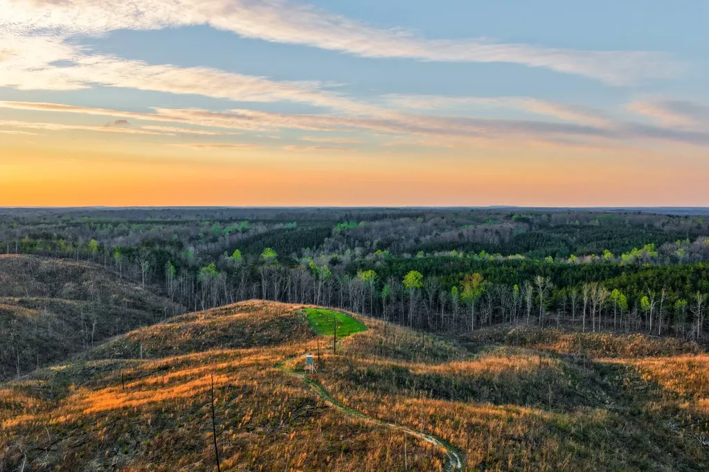 0 County Road 45 Waterloo AL 35677
