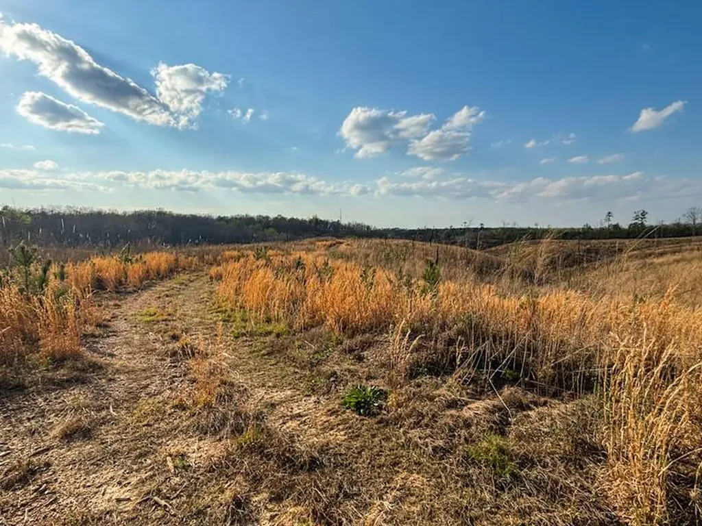 0 County Road 45 Waterloo AL 35677