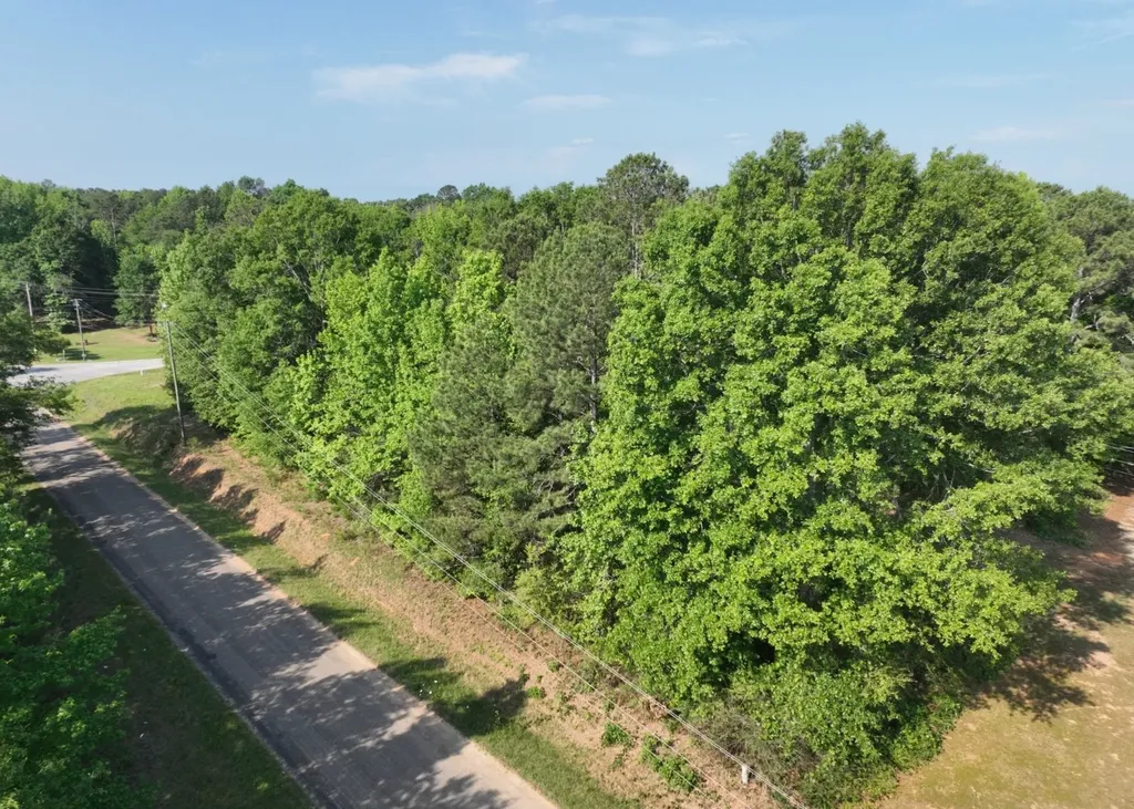 0 County Road 329 Wedowee AL 36278