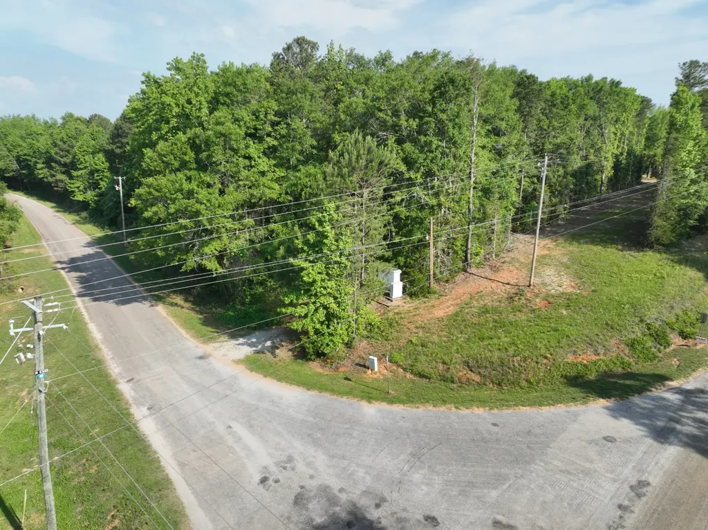 0 County Road 329 Wedowee AL 36278