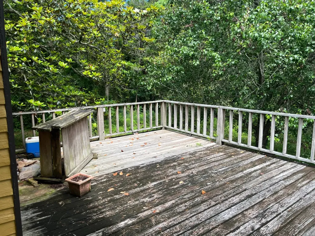 208 West Mill Street Georgiana AL 36033