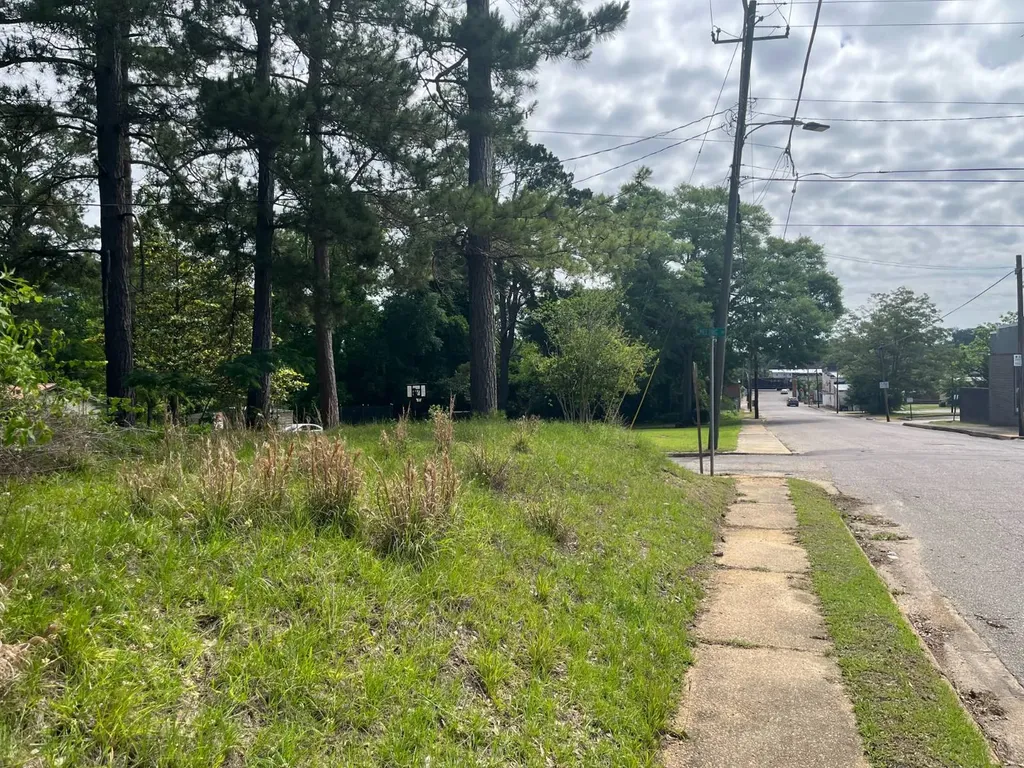 208 West Mill Street Georgiana AL 36033