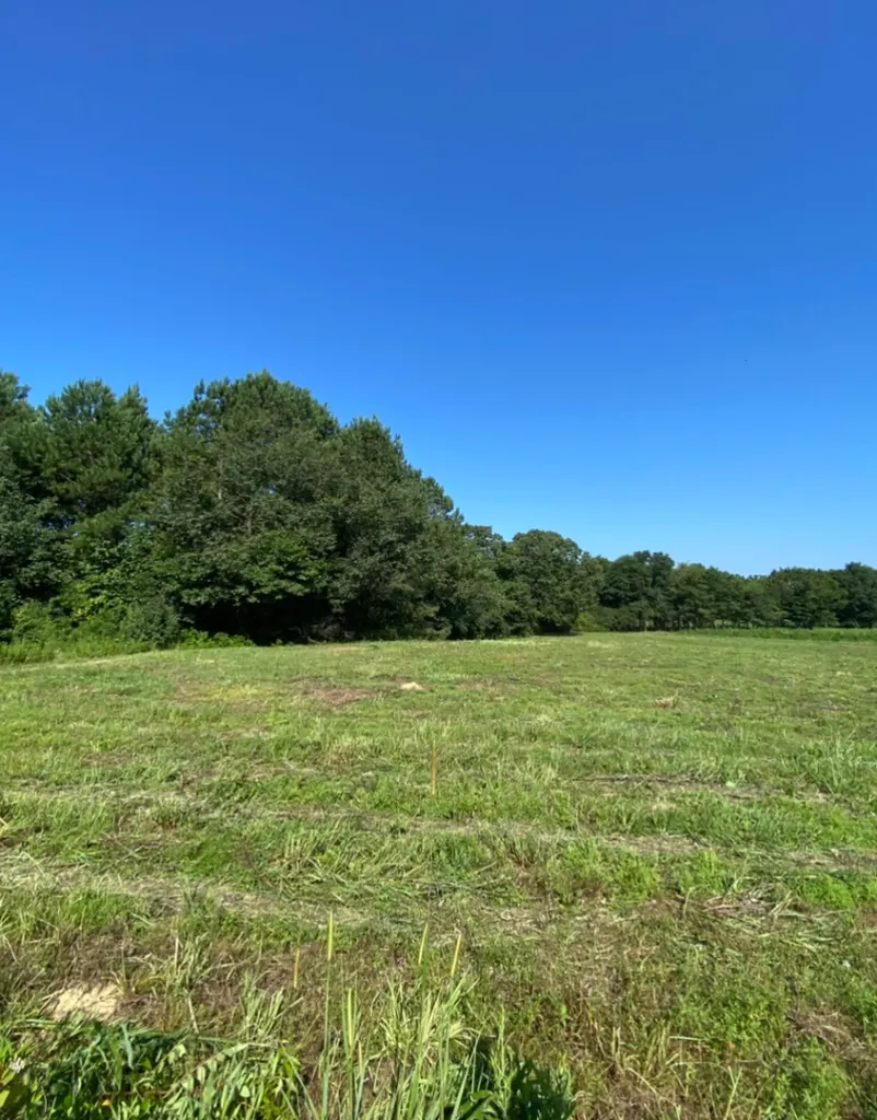 Highway 145 Columbiana AL 35051