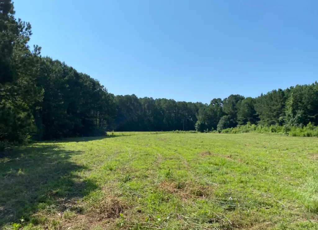 Highway 145 Columbiana AL 35051