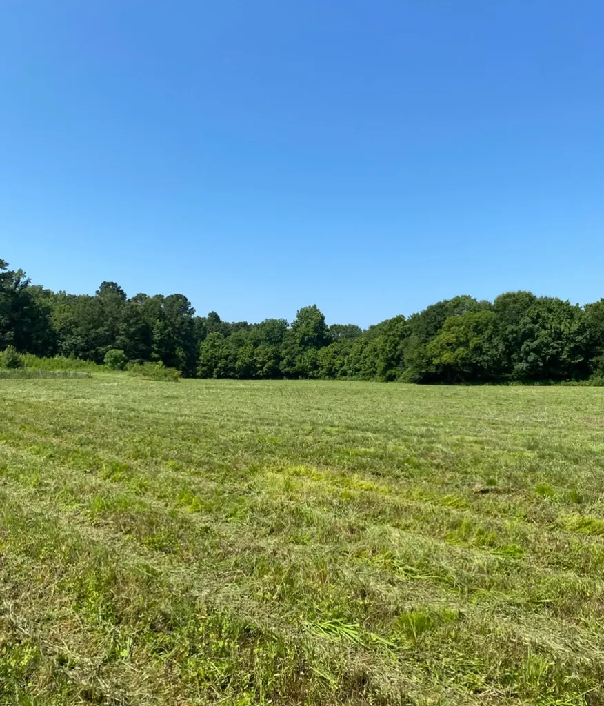 Highway 145 Columbiana AL 35051