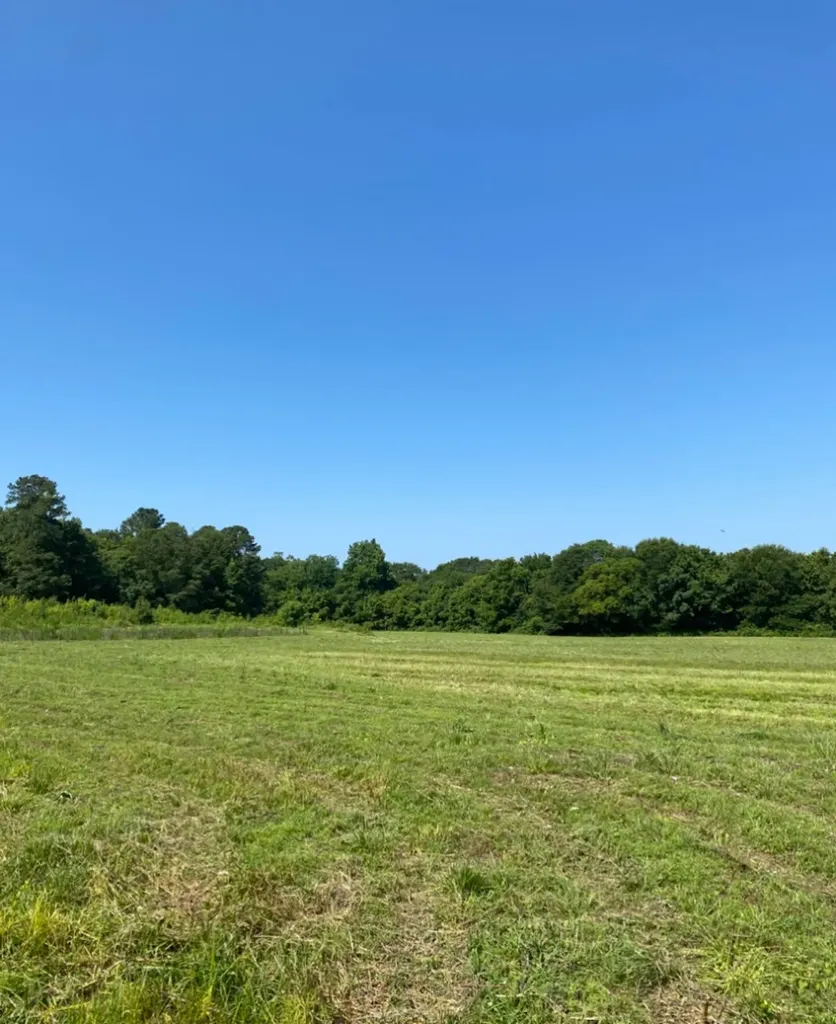 Highway 145 Columbiana AL 35051