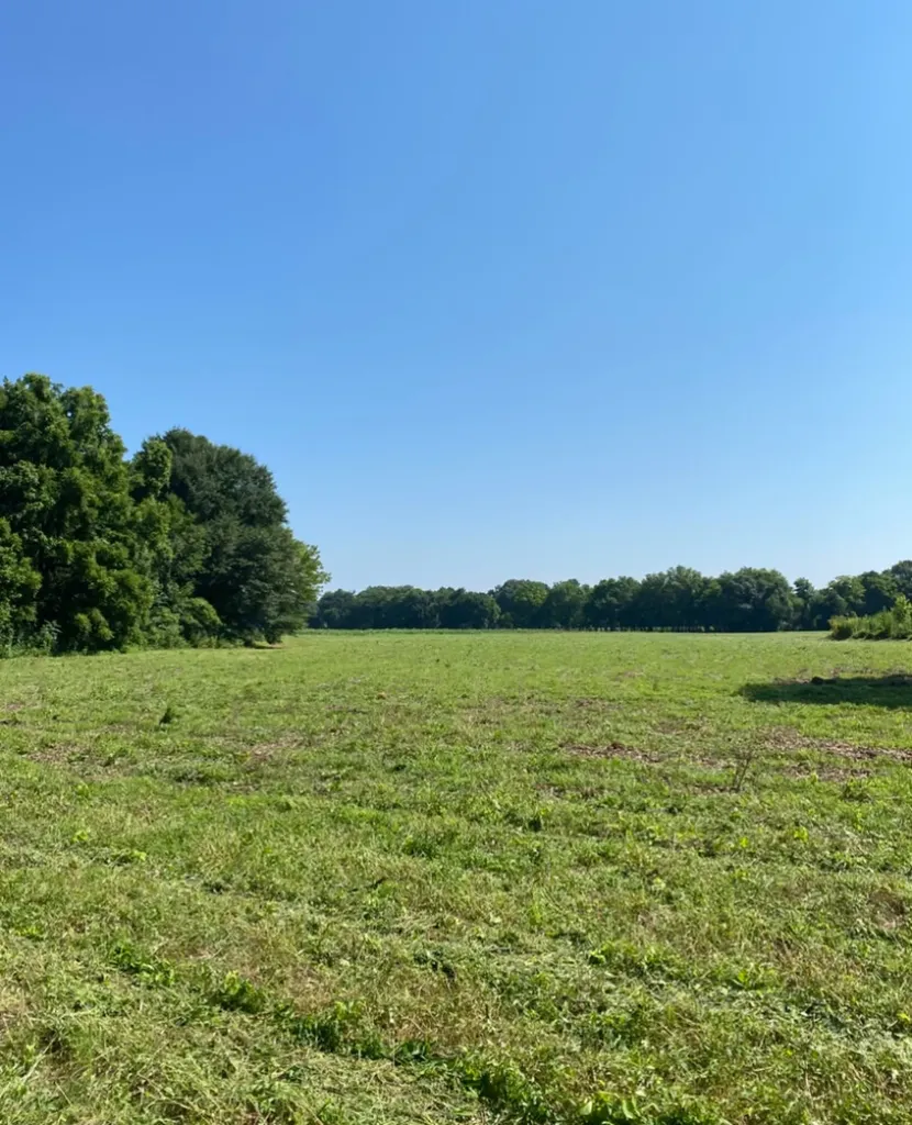Highway 145 Columbiana AL 35051