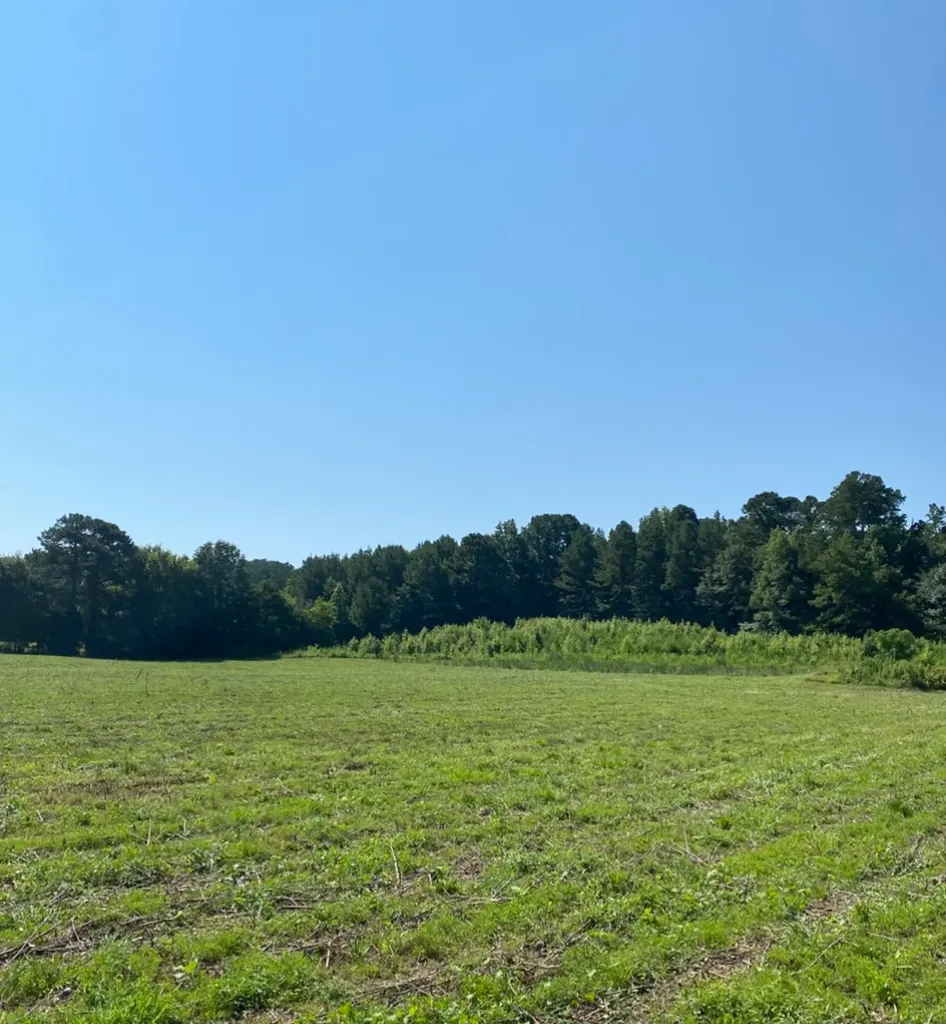 Highway 145 Columbiana AL 35051