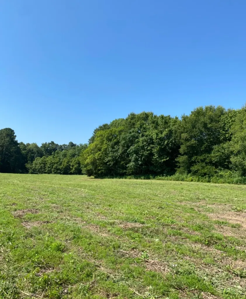 Highway 145 Columbiana AL 35051