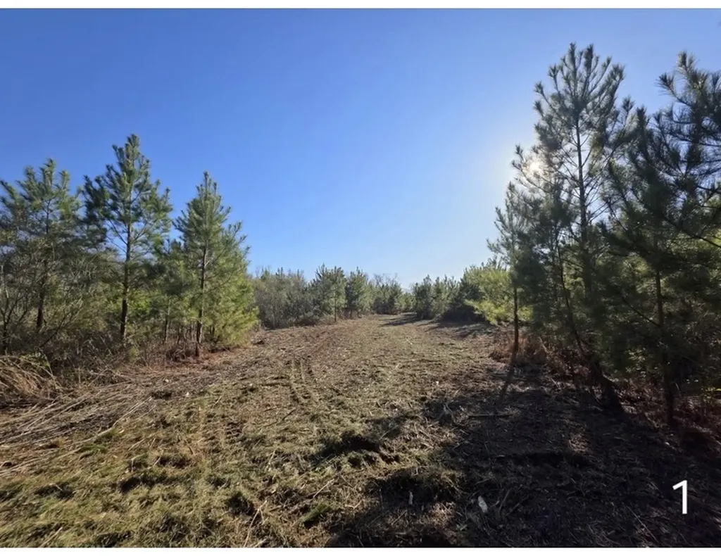 0 Chipola Road Slocomb AL 36375