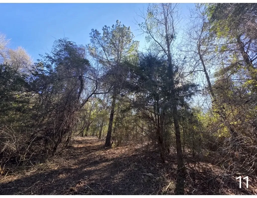 0 Chipola Road Slocomb AL 36375
