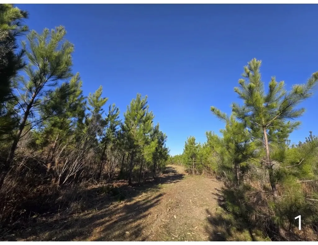 0 Chipola Road Slocomb AL 36375