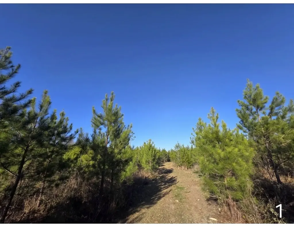 0 Chipola Road Slocomb AL 36375