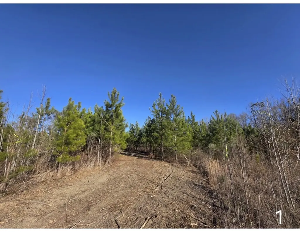 0 Chipola Road Slocomb AL 36375