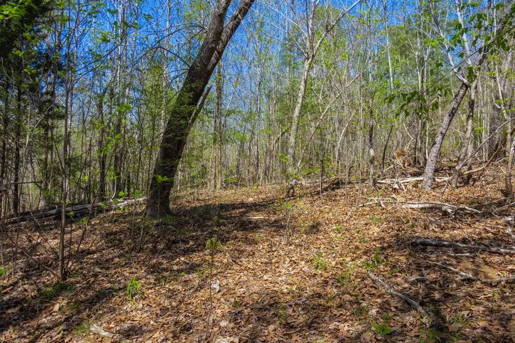 5508 Sealy Ann Mountain Road Adger AL 35006