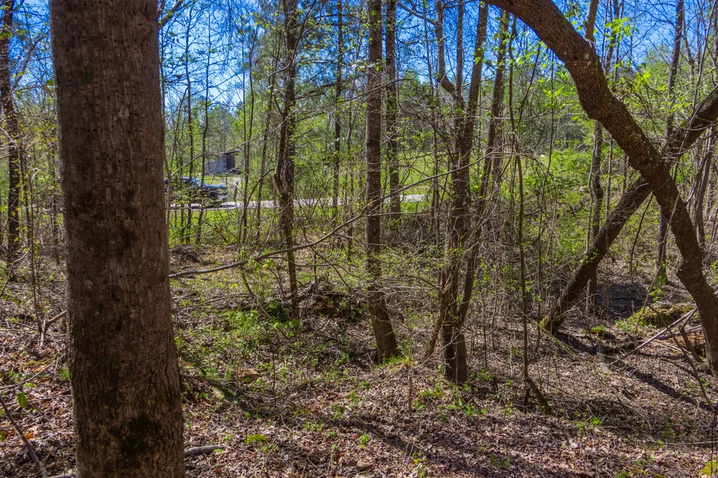 5508 Sealy Ann Mountain Road Adger AL 35006