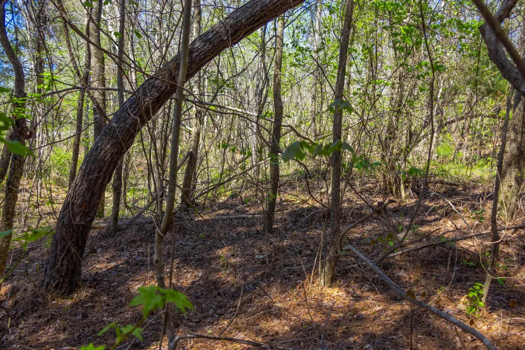5508 Sealy Ann Mountain Road Adger AL 35006