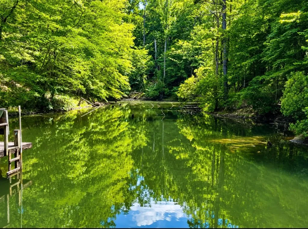 897 County Road 45 Fort Deposit AL 36032