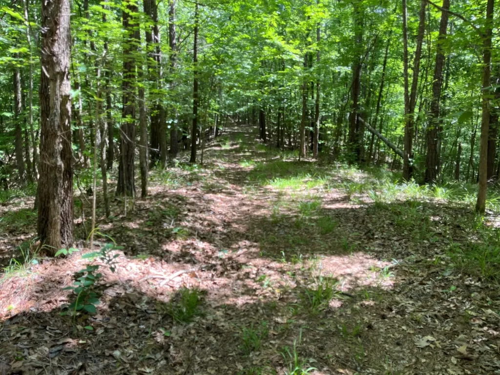 897 County Road 45 Fort Deposit AL 36032