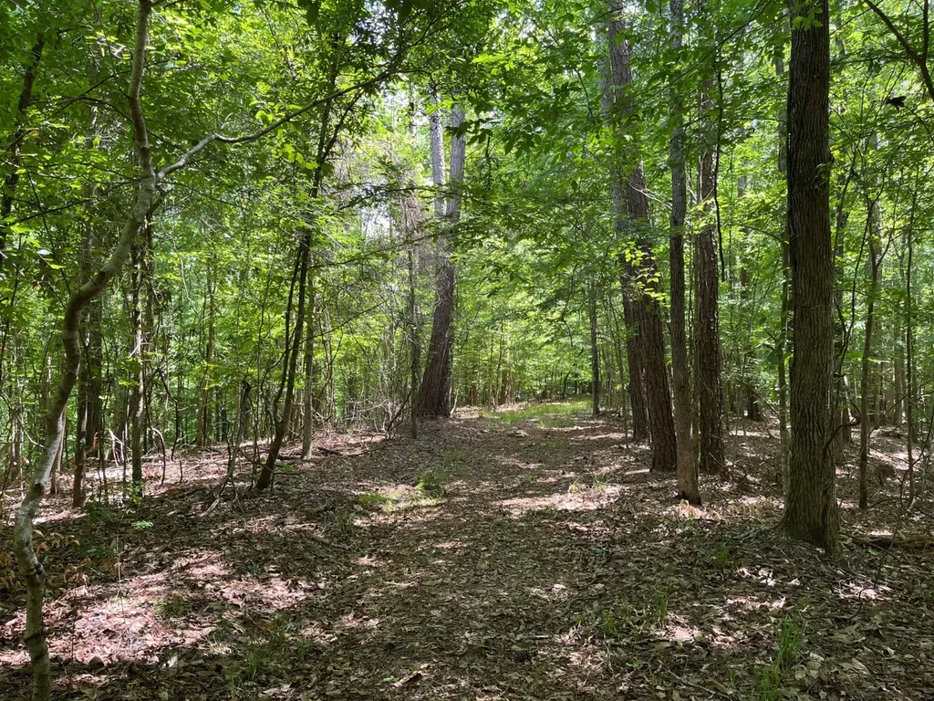 897 County Road 45 Fort Deposit AL 36032
