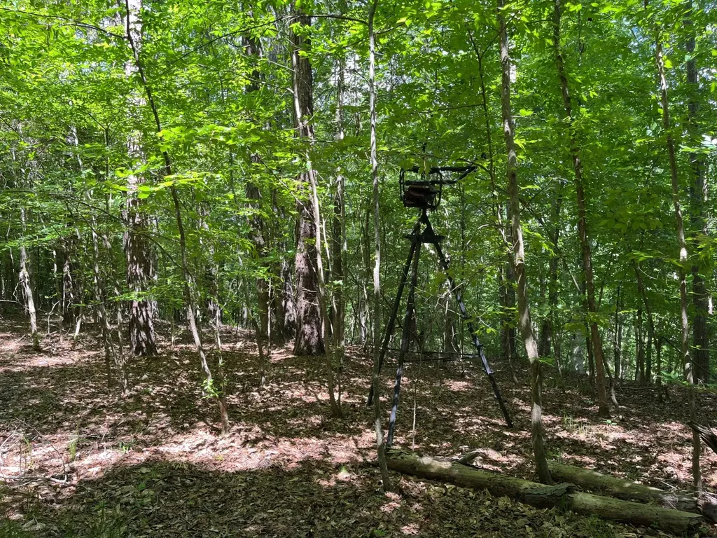 897 County Road 45 Fort Deposit AL 36032
