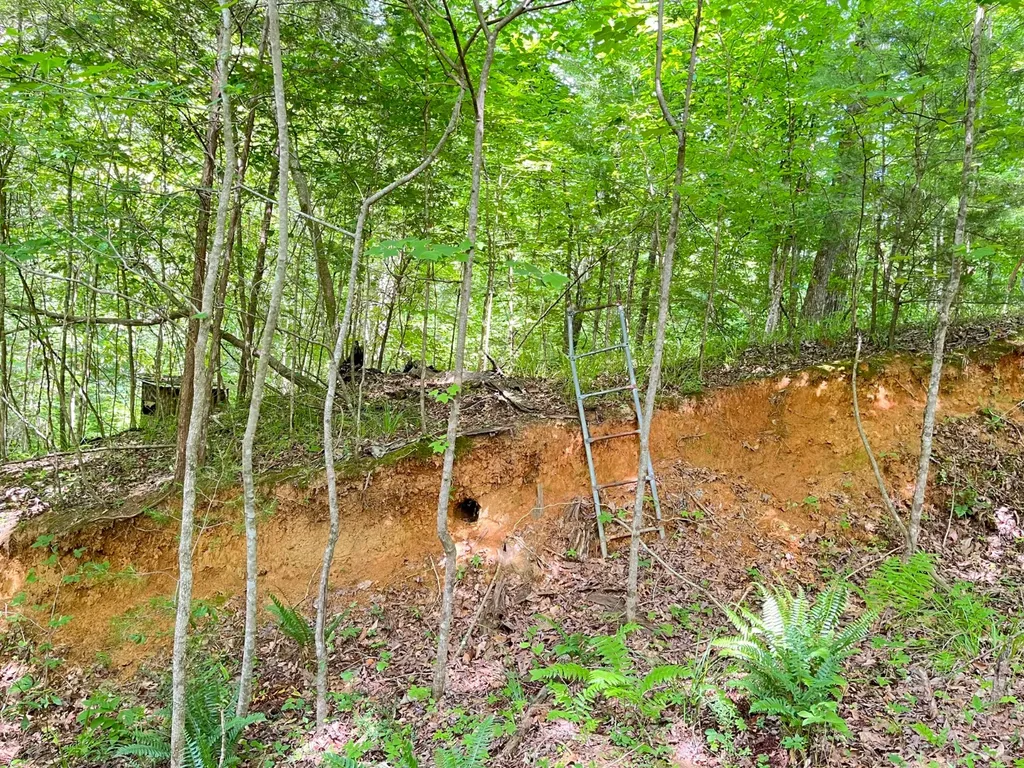 897 County Road 45 Fort Deposit AL 36032