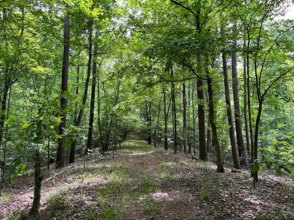 897 County Road 45 Fort Deposit AL 36032