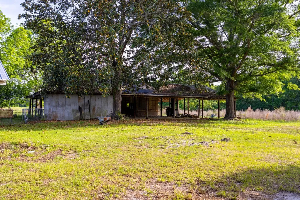 1683 W Mill Street Georgiana AL 36033