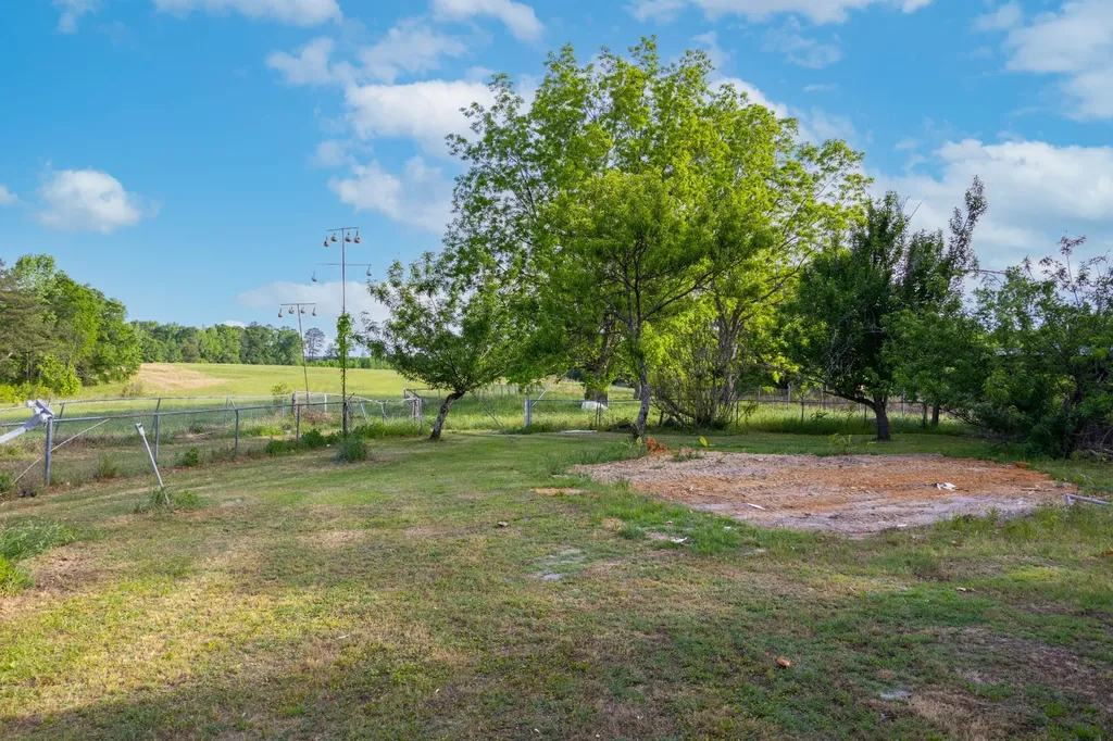 1683 W Mill Street Georgiana AL 36033