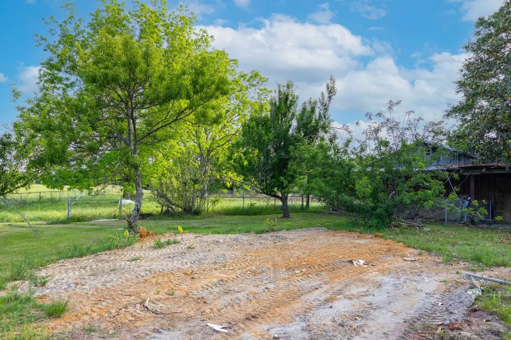 1683 W Mill Street Georgiana AL 36033
