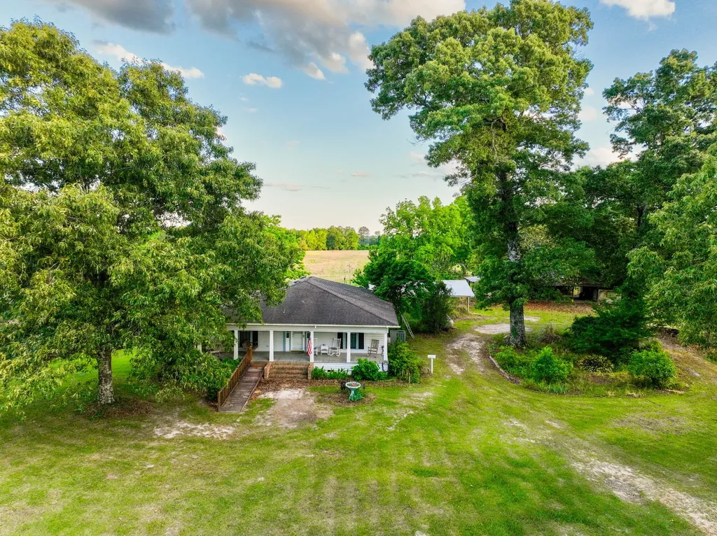 1683 W Mill Street Georgiana AL 36033