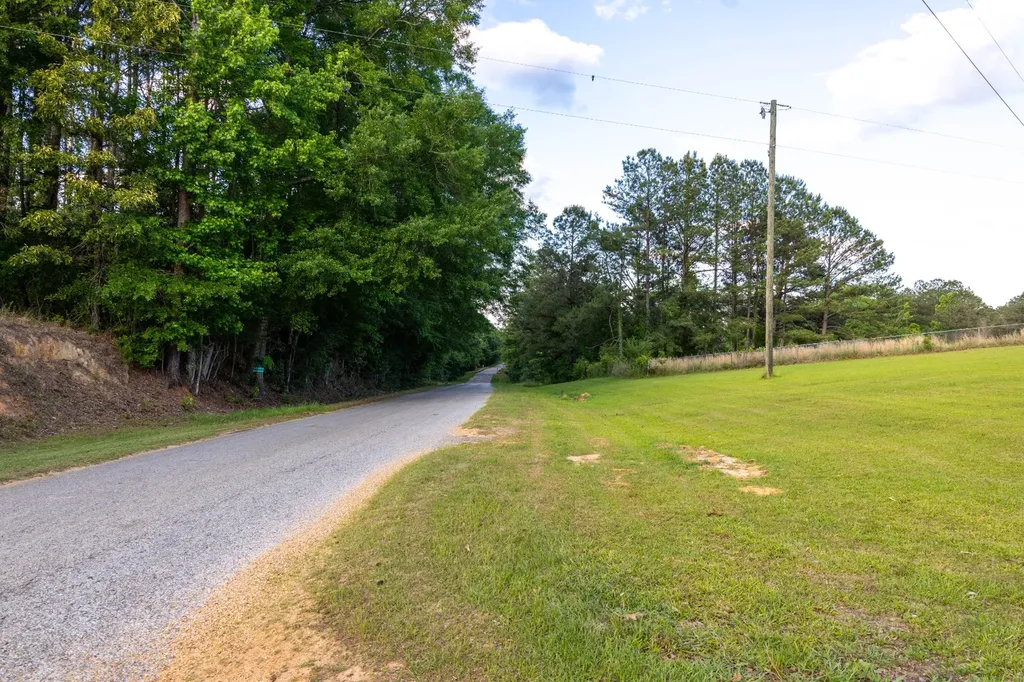 1683 W Mill Street Georgiana AL 36033
