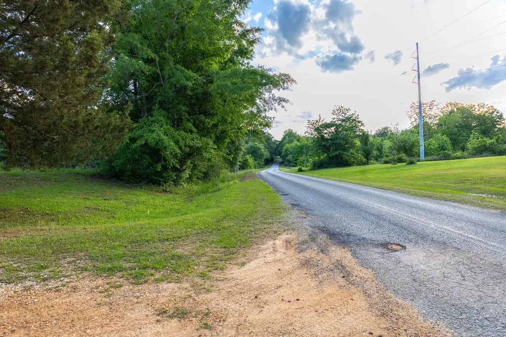 1683 W Mill Street Georgiana AL 36033