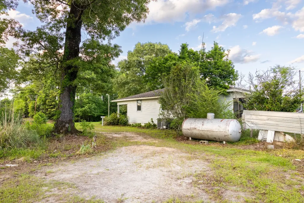 1683 W Mill Street Georgiana AL 36033
