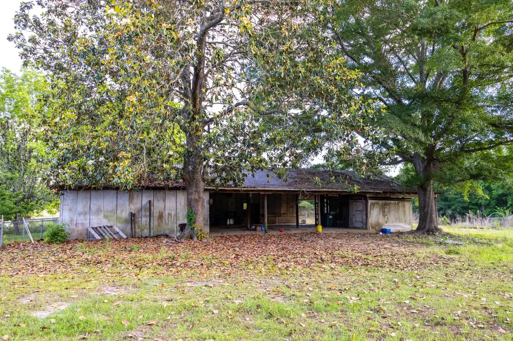 1683 W Mill Street Georgiana AL 36033