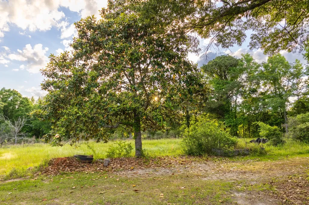 1683 W Mill Street Georgiana AL 36033