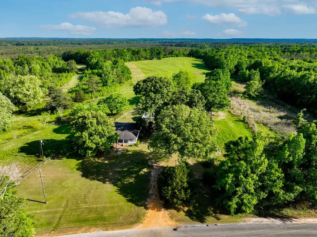 1683 W Mill Street Georgiana AL 36033
