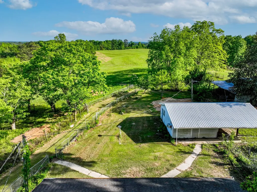 1683 W Mill Street Georgiana AL 36033